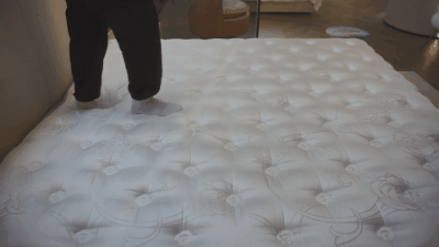 24.gif