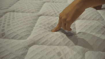 20.gif