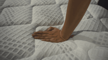 21.gif
