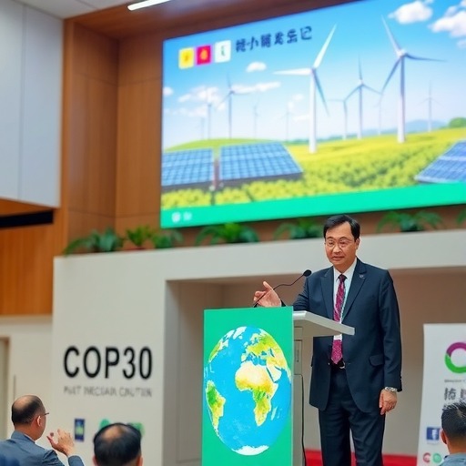 太阳雨集团董事长徐新建COP30发声：新能源正将“零碳未来”转化为现实方案