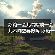 冰箱一会儿嗡嗡响一会儿不响需要修吗 冰箱一会儿嗡嗡响的原因及处理方法【详解】（图2）