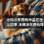 冰箱冰东西有味道是怎么回事 冰箱冰东西有味道的原因及解决方法【详解】