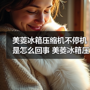 美菱冰箱压缩机不停机是怎么回事 美菱冰箱压缩机不停机的原因及解决方法【详解】(图3) 美菱冰箱压缩机不停机是怎么回事 美菱冰箱压缩机不停机的原因及解决方法【详解】(图3)