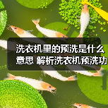洗衣机里的预洗是什么意思 解析洗衣机预洗功能【详解】（图4）
