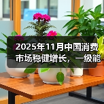 2025年11月中国消费市场稳健增长,一级能效电视销量增长均超20%(图2) 2025年11月中国消费市场稳健增长,一级能效电视销量增长均超20%(图2)