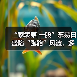 “家装第 一股”东易日盛陷“跑路”风波，多地工程被曝停工