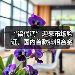 “铝代铜”迎来市场验证,国内首款锌铝合金新材料空调发布引热议 “铝代铜”迎来市场验证,国内首款锌铝合金新材料空调发布引热议
