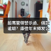 前高管领警示函、借款逾期？康佳年末频发公告迎大考