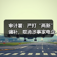 审计署：严打“两新”骗补，取消涉事家电企业资格
