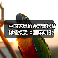中国家具协会理事长徐祥楠接受《国际商报》专访
