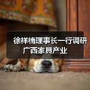 徐祥楠理事长一行调研广西家具产业