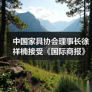 中国家具协会理事长徐祥楠接受《国际商报》专访