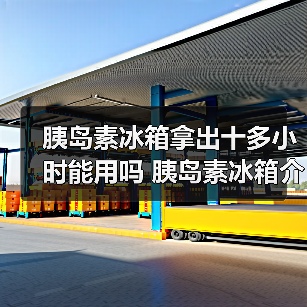 胰岛素冰箱拿出十多小时能用吗 胰岛素冰箱介绍【详解】