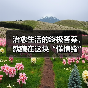 治愈生活的终极答案，就藏在这块“懂情绪”的百吋大屏（图4）