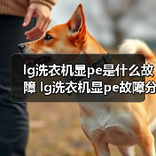lg洗衣机显pe是什么故障 lg洗衣机显pe故障分析【详解】（图2）