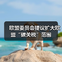 欧盟委员会提议扩大欧盟“碳关税”范围(图2) 欧盟委员会提议扩大欧盟“碳关税”范围(图2)