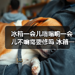 冰箱嗡嗡声原因解析与处理方法