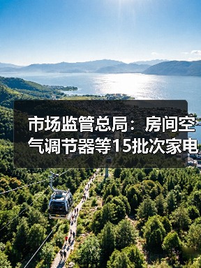 市场监管总局:房间空气调节器等15批次家电产品不合格(图3) 市场监管总局:房间空气调节器等15批次家电产品不合格(图3)