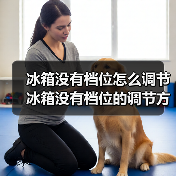 冰箱没有档位怎么调节 冰箱没有档位的调节方法及注意事项【详解】（图4）