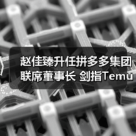 赵佳臻升任拼多多集团联席董事长 剑指Temu三年再造新传奇?(图3) 赵佳臻升任拼多多集团联席董事长 剑指Temu三年再造新传奇?(图3)