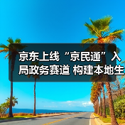 京东上线“京民通”入局政务赛道 构建本地生活生态闭环（图3）