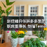 赵佳臻升任拼多多集团联席董事长 剑指Temu三年再造新传奇?(图4) 赵佳臻升任拼多多集团联席董事长 剑指Temu三年再造新传奇?(图4)