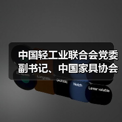 中国轻工业联合会党委副书记、中国家具协会党支部书记徐祥楠讲授主题教育专题党课