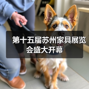 第十五届苏州家具展盛大开幕，引领华东行业革新