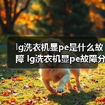 LG洗衣机显PE故障解析及排查方法
