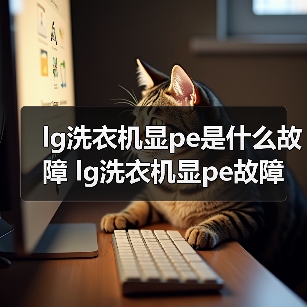 lg洗衣机显pe是什么故障 lg洗衣机显pe故障分析【详解】(图3) lg洗衣机显pe是什么故障 lg洗衣机显pe故障分析【详解】(图3)