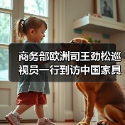 商务部欧洲司王劲松巡视员一行到访中国家具协会