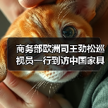 中欧家具产业合作深化，商务部调研推动贸易对接