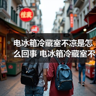 电冰箱冷藏室不凉是怎么回事 电冰箱冷藏室不凉的原因及解决方法【详解】(图4) 电冰箱冷藏室不凉是怎么回事 电冰箱冷藏室不凉的原因及解决方法【详解】(图4)
