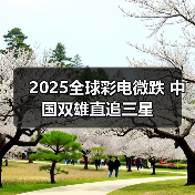 2025全球彩电微跌 中国双雄直追三星（图2）