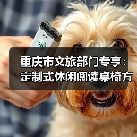重庆市文旅部门专享：定制式休闲阅读桌椅方案（图4）