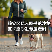 静安区私人图书馆沙龙区卡座沙发专属定制（图3）