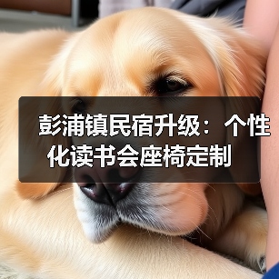 彭浦镇民宿升级：个性化读书会座椅定制（图1）