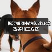 枫泾镇图书馆阅读环境改善施工方案（图4）