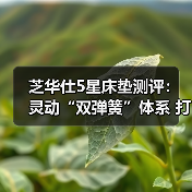 芝华仕5星床垫测评：灵动“双弹簧”体系 打造个性软睡感 睡眠品质up！（型号：5星深眠1号垫）（图4）