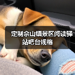 定制佘山镇景区阅读驿站吧台规格（图1）