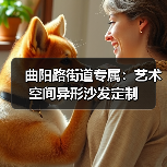曲阳路街道专属：艺术空间异形沙发定制（图4）