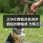 芝华仕智能床垫测评：细腻的硬睡感 为解乏而生 环保又助眠（型号：智能深眠1号垫）（图4）