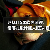 芝华仕5星软床测评：错落式设计抓人眼球 细节工艺走心 打造质感空间（型号：10533床架+美辰床垫）（图4）