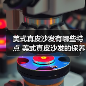 美式真皮沙发有哪些特点 美式真皮沙发的保养方法（图2）