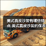 美式真皮沙发有哪些特点 美式真皮沙发的保养方法（图3）