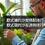 欧式简约沙发搭配技巧 欧式简约沙发选购技巧(图2) 欧式简约沙发搭配技巧 欧式简约沙发选购技巧(图2)