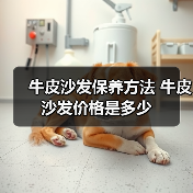 牛皮沙发保养方法 牛皮沙发价格是多少（图3）