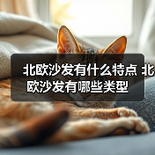 北欧沙发有什么特点 北欧沙发有哪些类型(图4) 北欧沙发有什么特点 北欧沙发有哪些类型(图4)