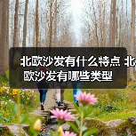 北欧沙发有什么特点 北欧沙发有哪些类型(图1) 北欧沙发有什么特点 北欧沙发有哪些类型(图1)