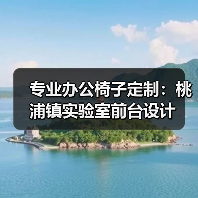 专业办公椅子定制：桃浦镇实验室前台设计（图1）